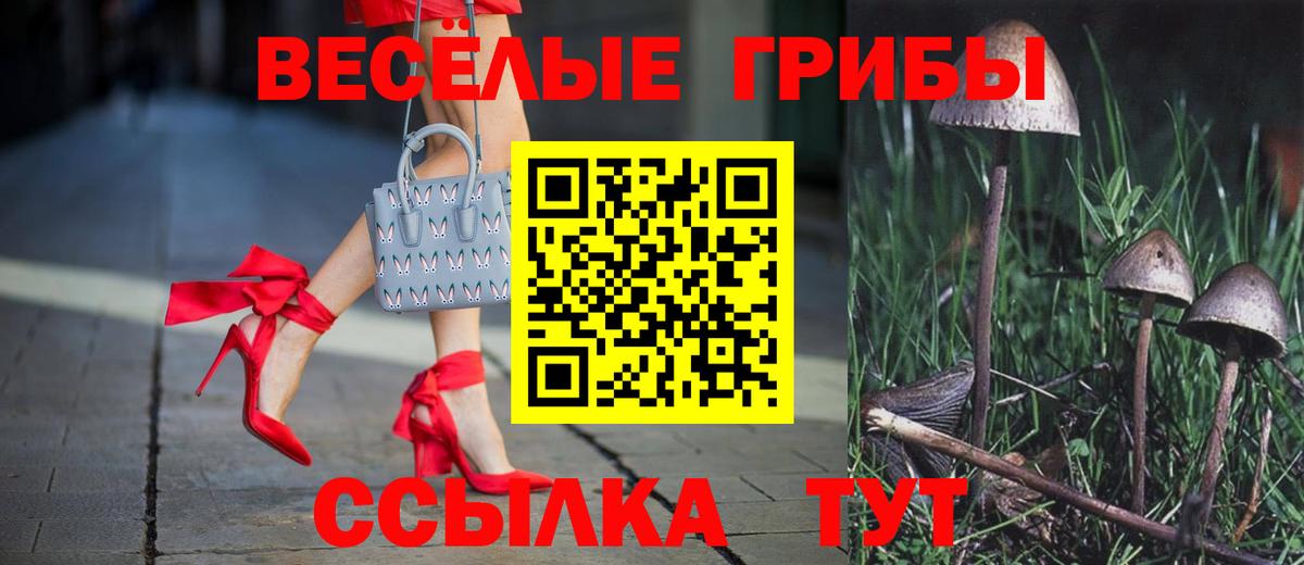 Холмск  Псилоцибиновые грибы мицелий  Вход с VPN  Галлюциногенные грибы ЛСД 